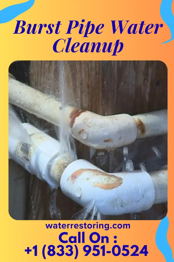Burst Pipe Water Cleanup in Santee, NE