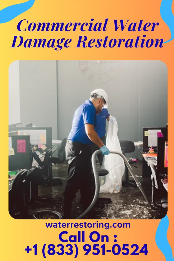 Commercial Water Damage Restoration in Santee, NE