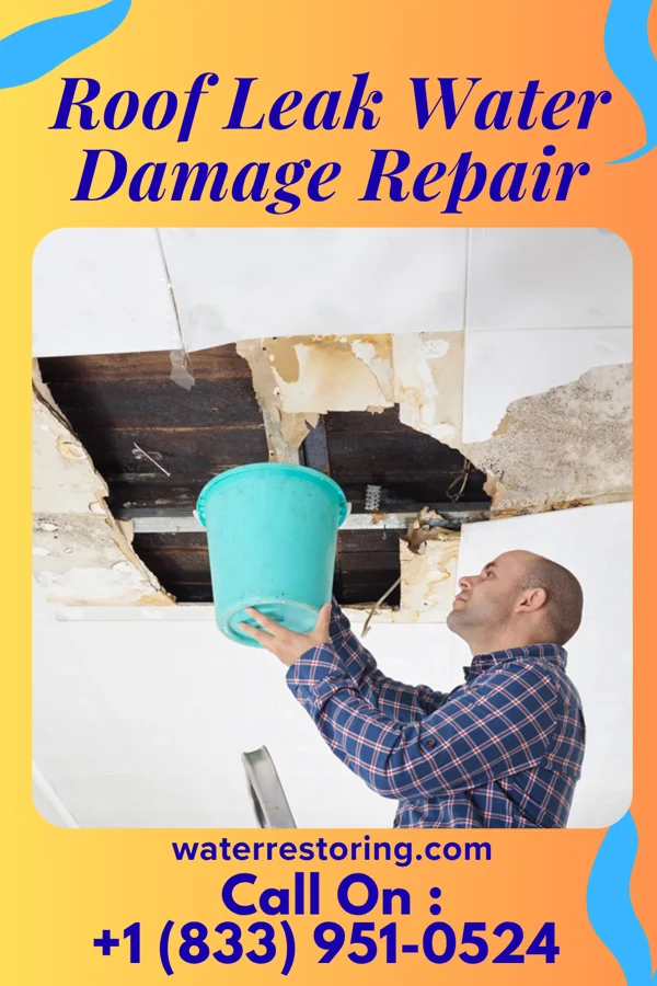 Roof Leak Water Damage Repair in Santee, NE